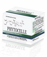 Sản phẩm » Tăng cường miễn dịch - Phytocelle